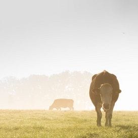 LAW AMENDMENTS TO HELP STRUGGLING FARMERS LAW AMENDMENTS TO HELP STRUGGLING FARMERS
